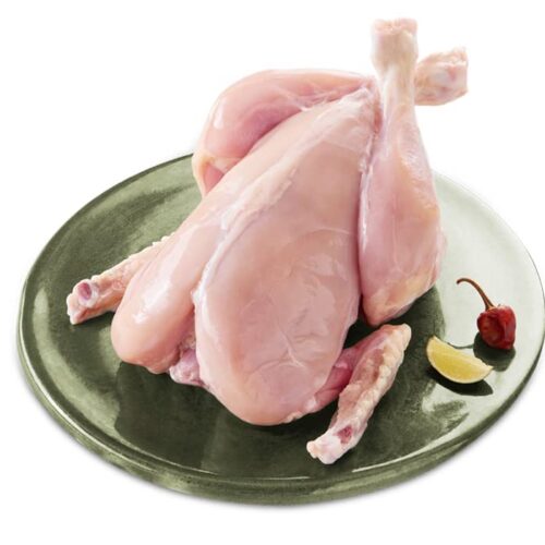 Version 1.0.0 Tandoori Chicken (1 piece)